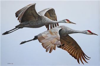 Cindy Billingsley: The Wonderous Beauty of Birds - Customs House Museum & Cultural Center