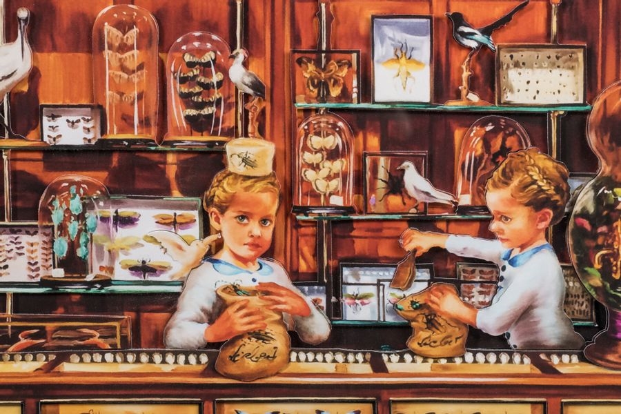 Artwork by Sala Lieber, Sucré shop