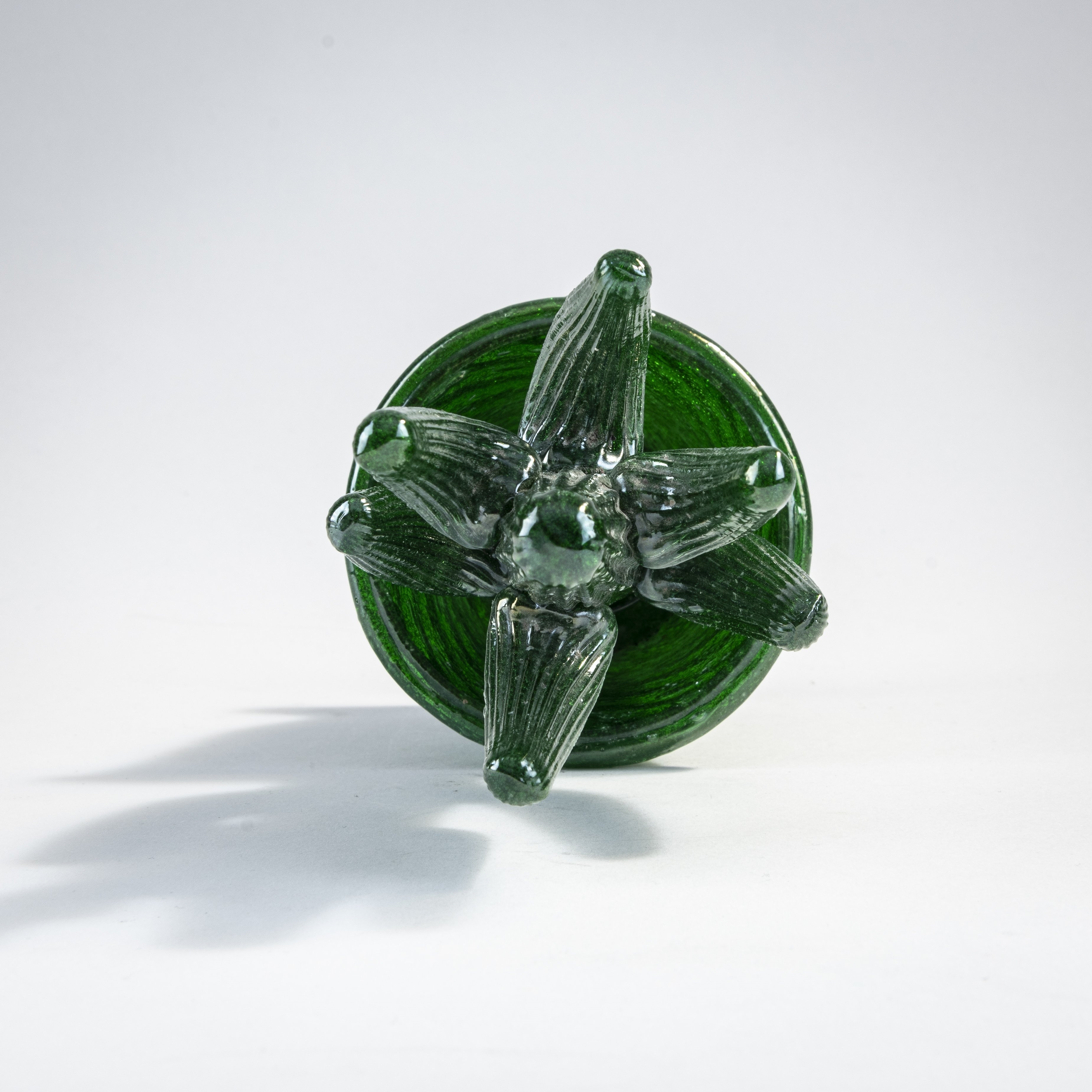 Artwork by Flavio Poli, Pianta grassa, Made of green glass