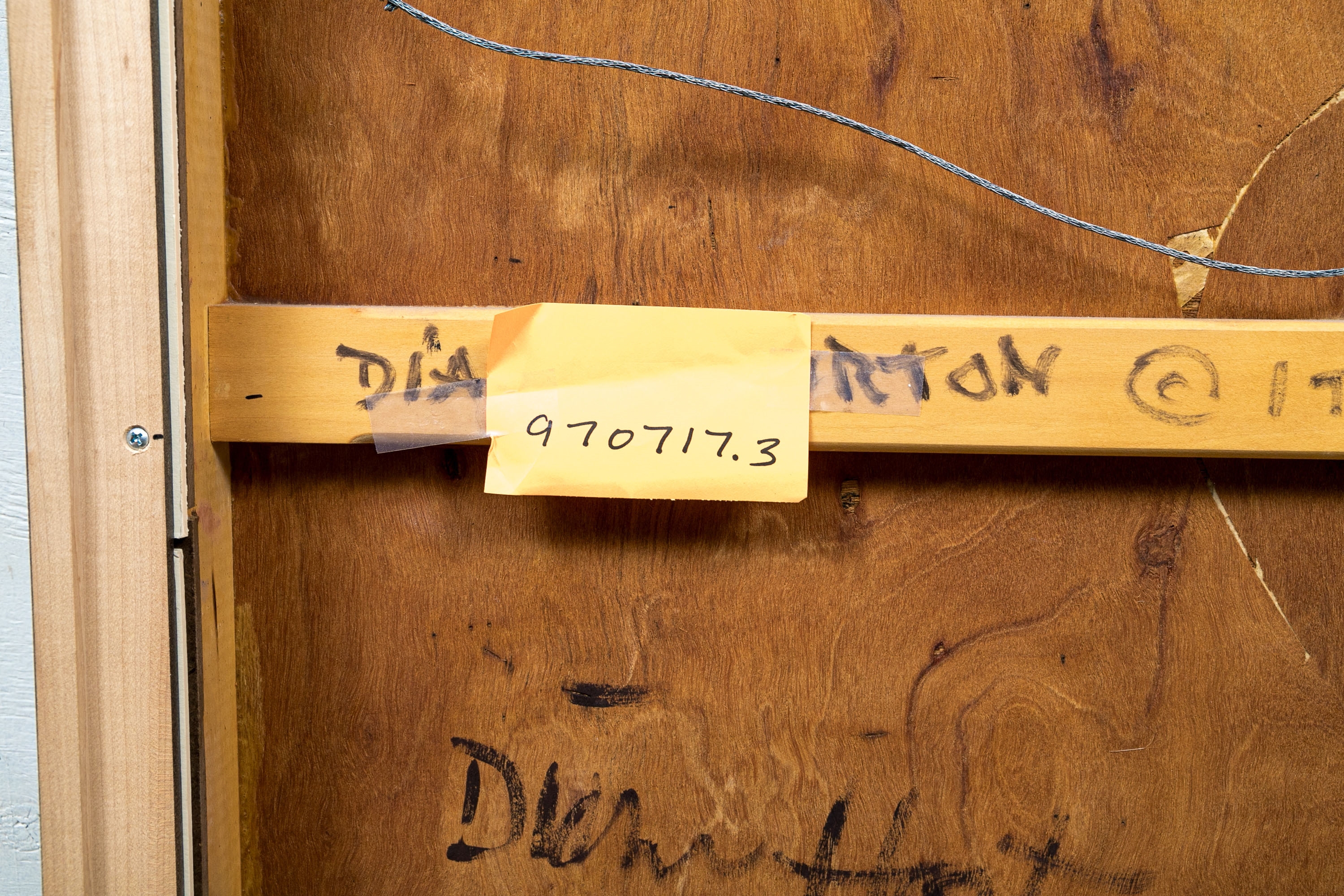 Artwork by Diane Horton, "Simple Entanglement", Made of oil and wax on panel