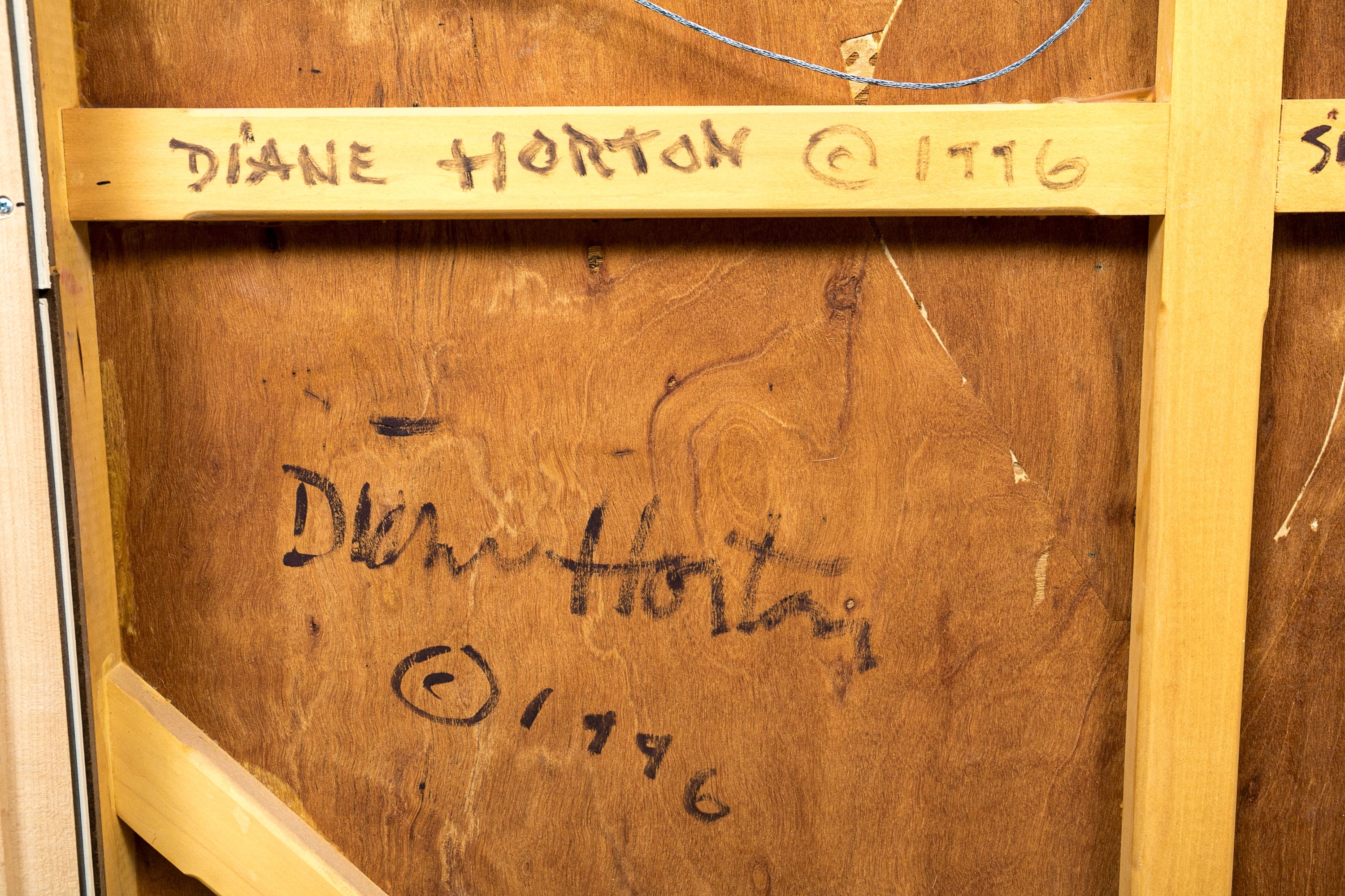 Artwork by Diane Horton, "Simple Entanglement", Made of oil and wax on panel