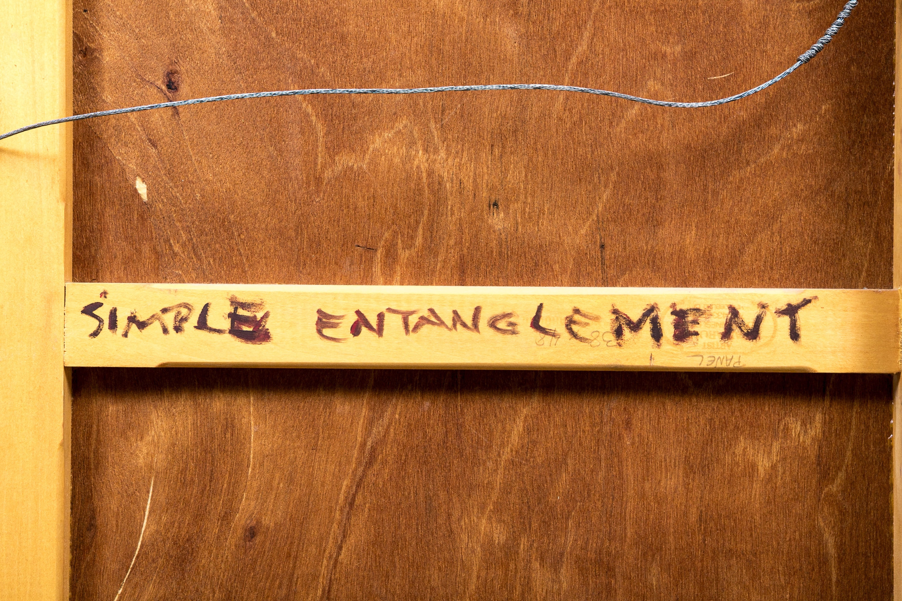 Artwork by Diane Horton, "Simple Entanglement", Made of oil and wax on panel