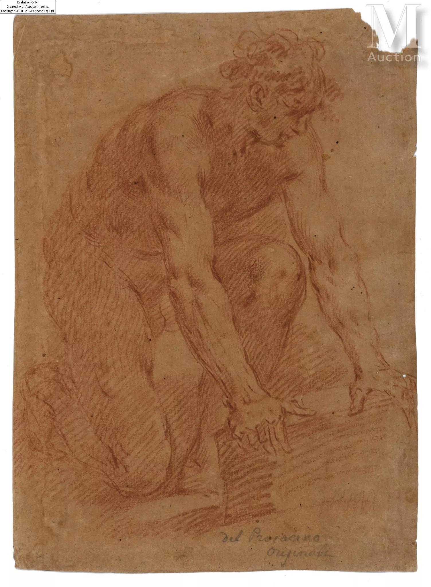 Artwork by Ercole Procaccini Il Vecchio, Homme agenouillé les mains sur une pierre, Made of black pencil