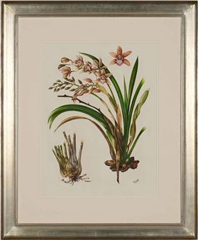 Cybidium - Farhart Iqbal