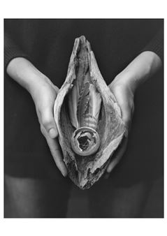 Maja Daniels: Gertrud - Nicola von Senger