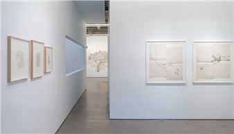 Johanna Calle: Planta Par - Galeria Moisés Pérez de Albéniz