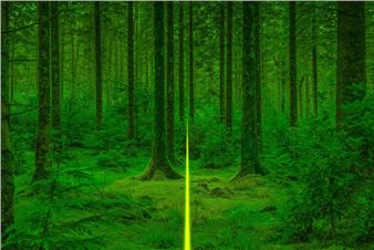 Northern Exposure - Praz-Delavallade, Los Angeles