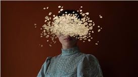 Artist Interview: Conceal & Reveal