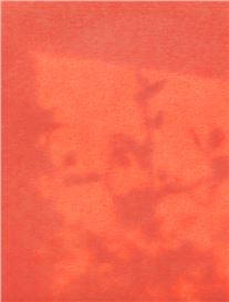 The Form of Anna Barriball’s Transient Memories