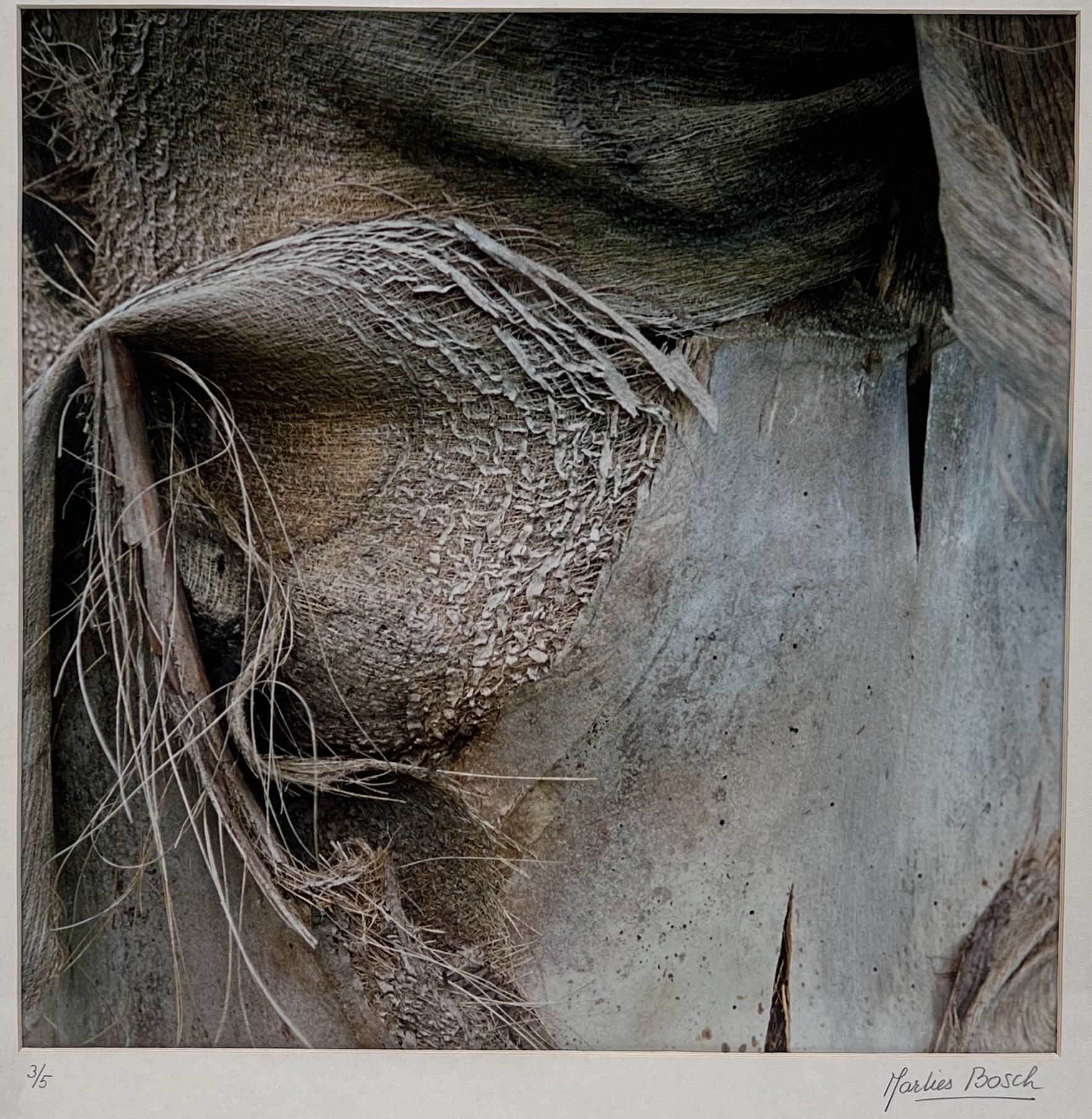 marlies-bosch-foto-met-organische-compositie-door-marlies-bosch-1942