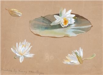 Studies of lotus flowers - Henry Ingen