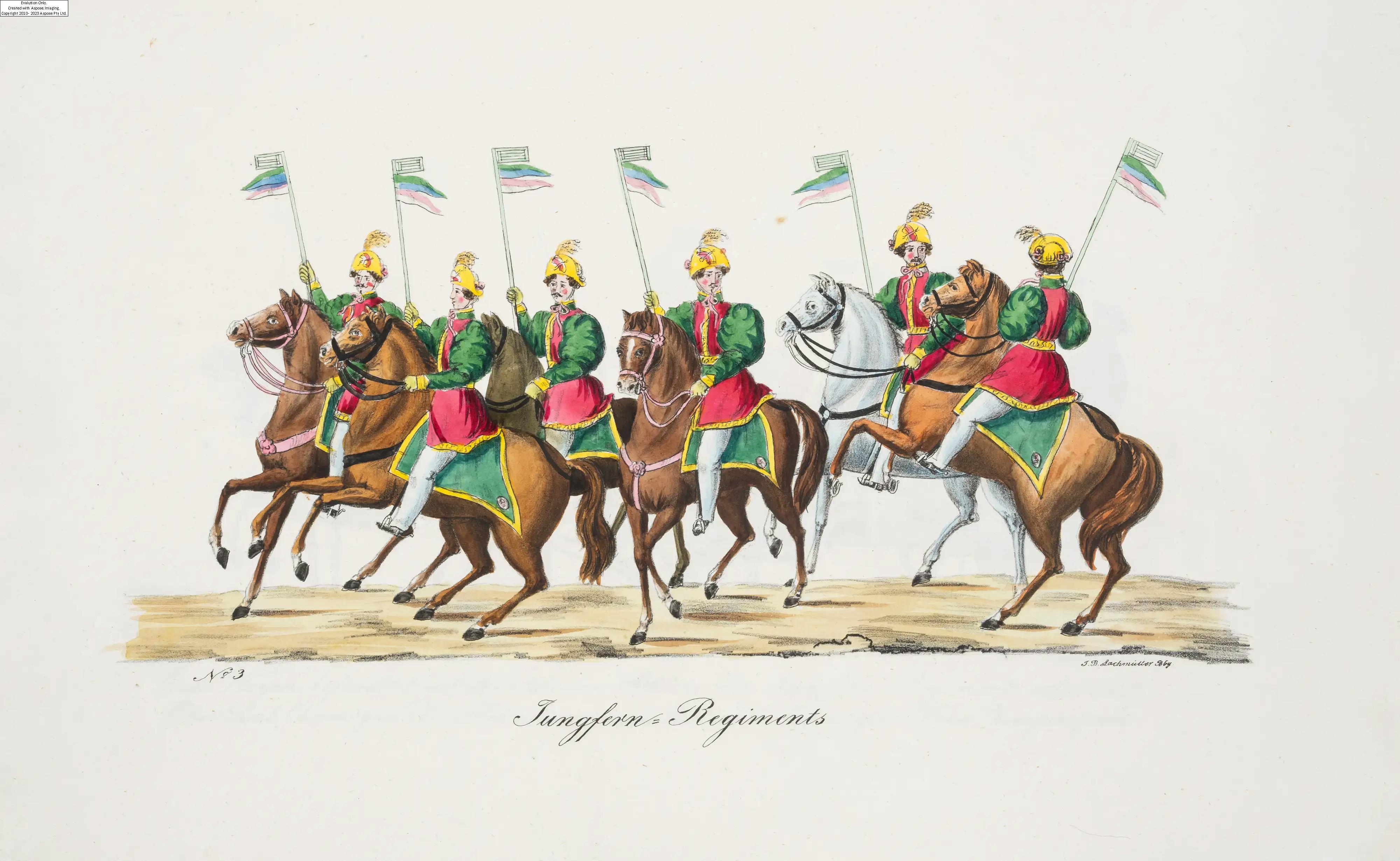 Artwork by Johann Baptist Lachmüller, Lachmuller (John Baptist)] Die grosse öffentliche Maskerade zu Pferde und zu Wagen in Bamberg am Fastnachts-Montage 1837, first edition, Bamberg, J.B. Lachmüller, [n.d. but 1837, Made of coloured lithographs