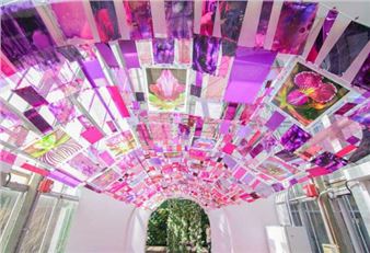 Review: Lillian Blades Brings Barbie Pink and More to Atlanta Botanical Garden