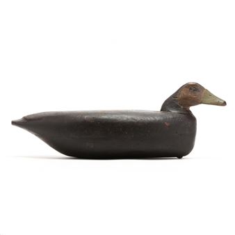 Black Duck - John Bowen