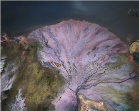 FotoFest Biennial: 5 Images to Know