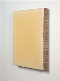 resin on board - Dirk Salz