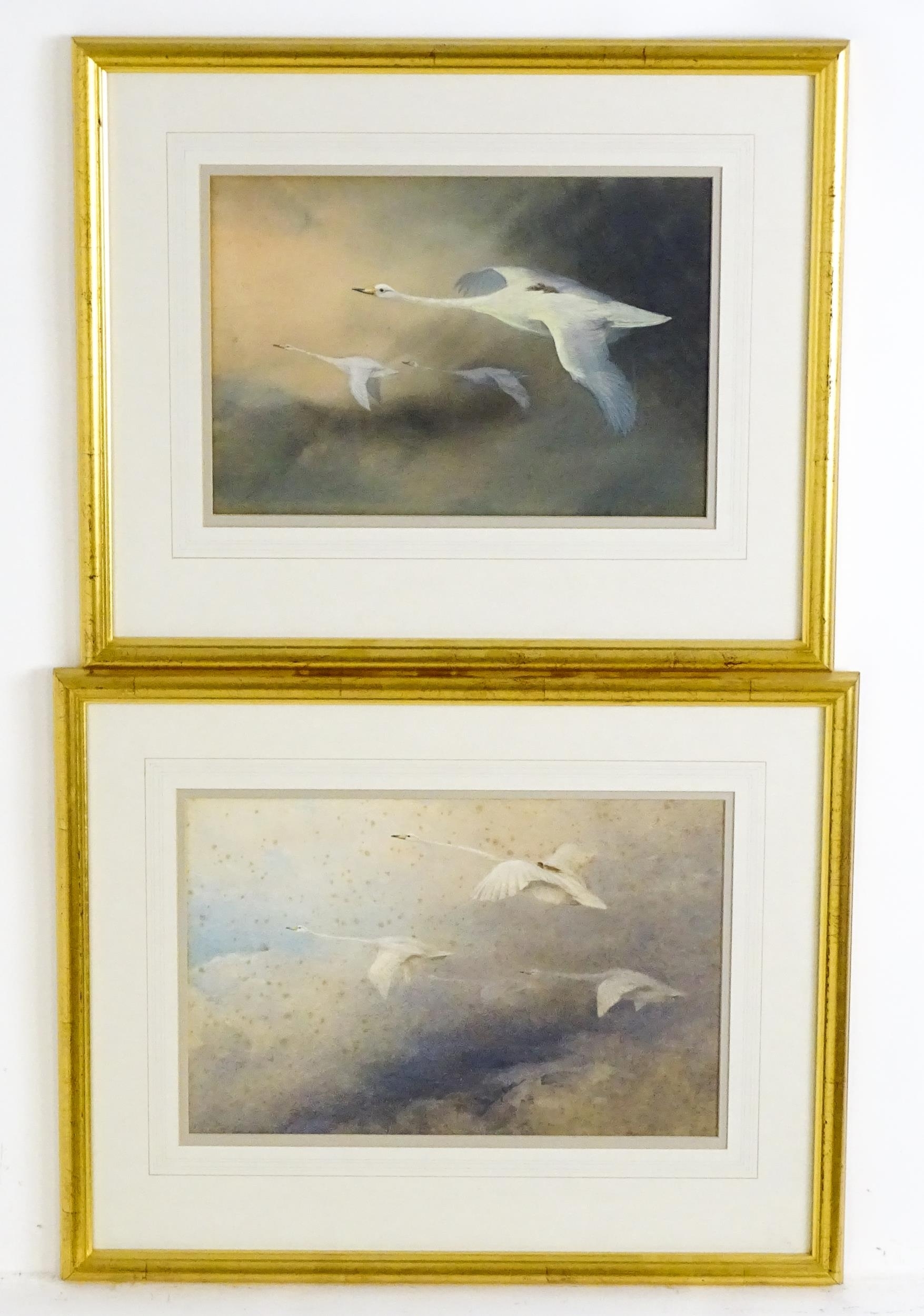 Swans in flight with cygnets - Charles Whymper