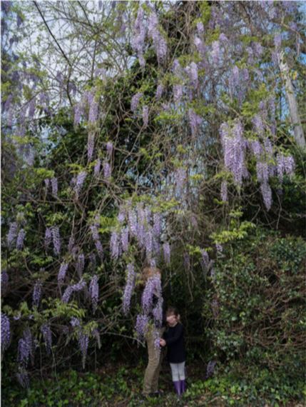 Allison Grant: Dangerous Landscapes - Alabama Contemporary Art Center