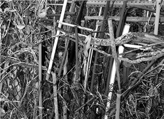 Nesting - SCOTTY