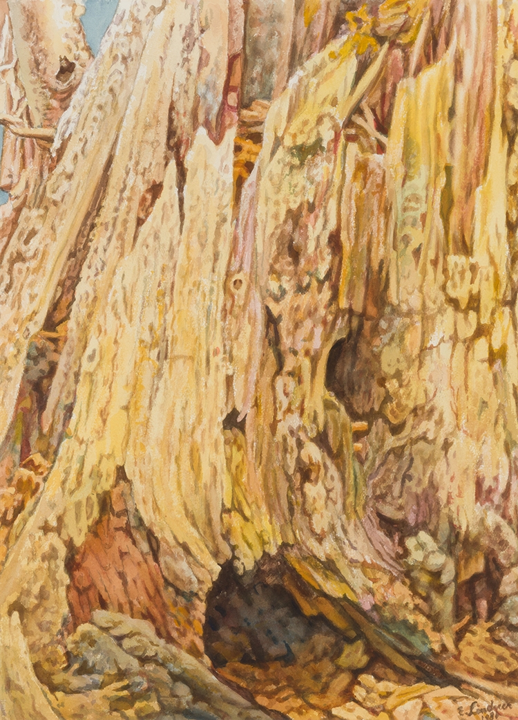 Ernest Lindner | Tree Trunk (1981) | MutualArt