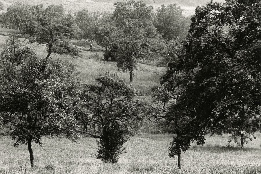 Untitled [rural landscape] c. 1975. by Daniel Boudinet, circa 1975