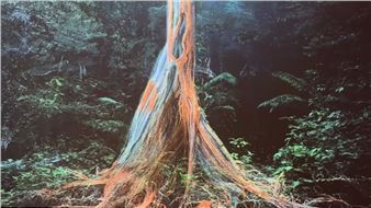 An Urgent Call to save the Planet at Peabody Essex Museum