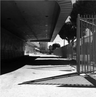 Diana Matar: My America - Purdy Hicks Gallery