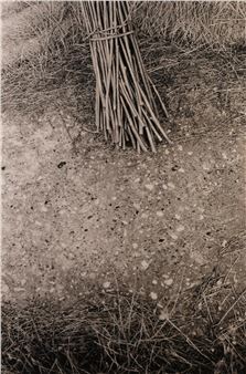 Perugia 1981 / 2011 - Robert Besanko