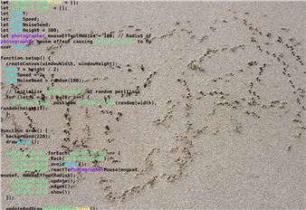 Rebecca Ann Tess: 2Dbody3Dcode - Philipp von Rosen Galerie