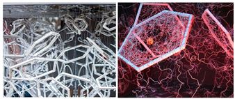 Julie Rotblatt Amrany: The Process of Discovery - Evanston Art Center