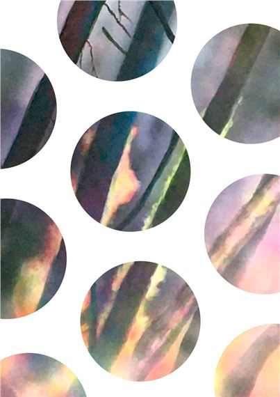 Laurence Broydé: Soleil Vert - Galerie RDV