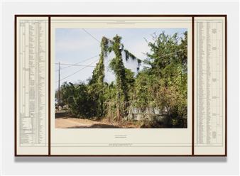 Linarejos Moreno: On the Geography of Green - Inman Gallery