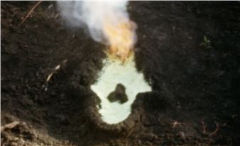 Ana Mendieta: Fundamento De Palo Monte - Hilliard Art Museum