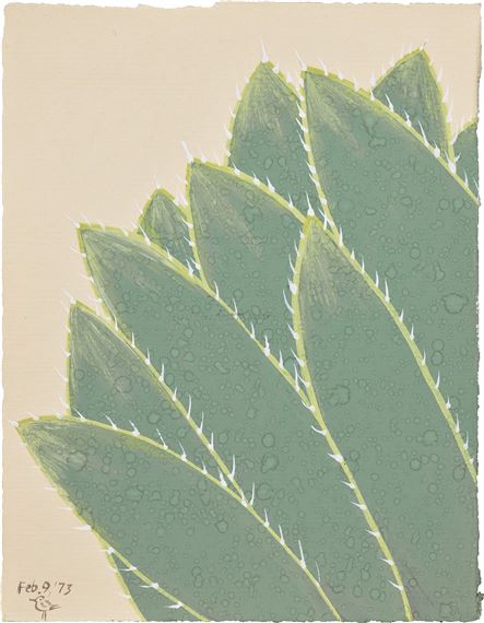 Cactus Book #34 - Mira Schor