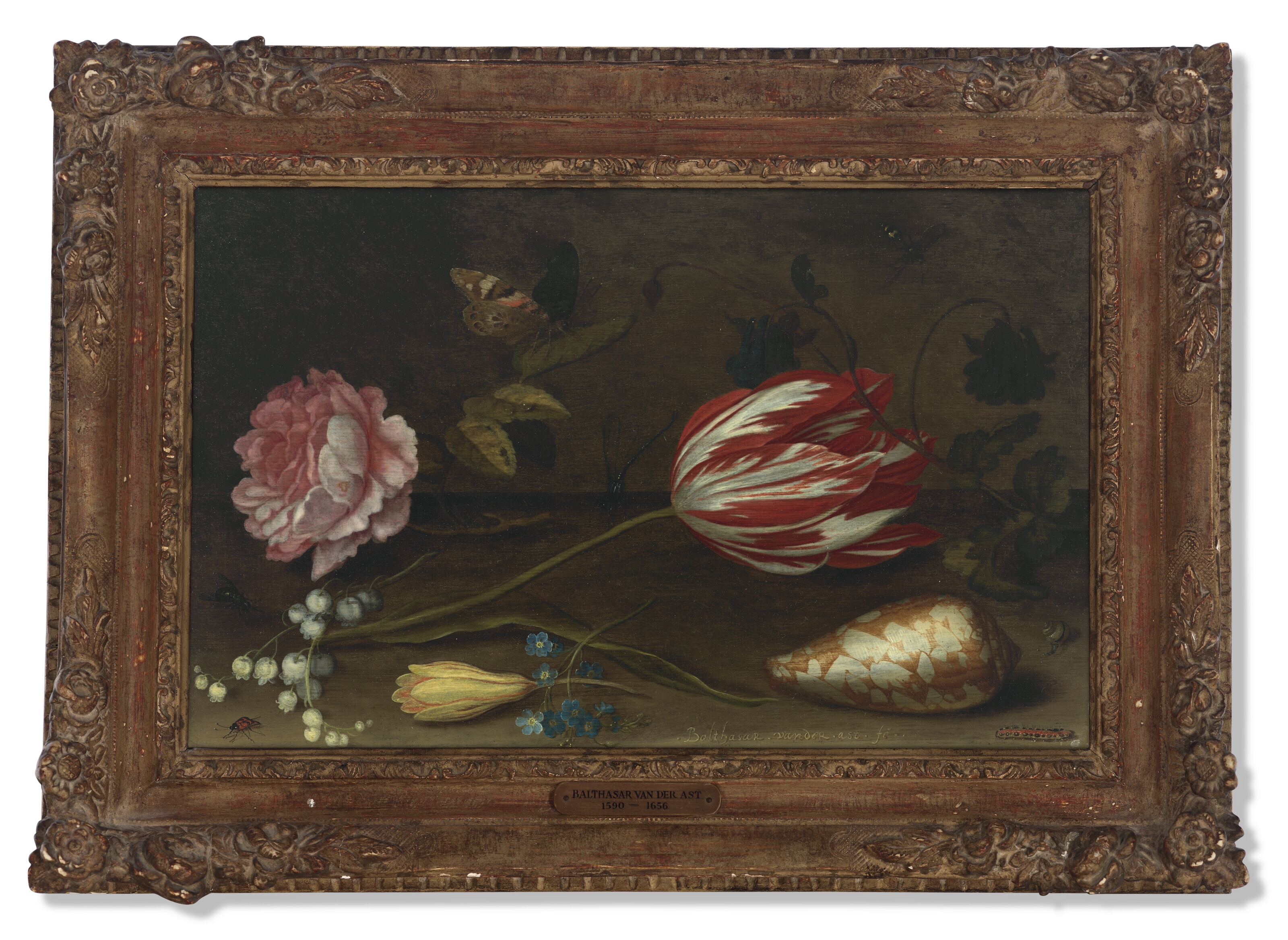 Artwork by Balthasar van der Ast, A rose, a tulip, insects, and a shell on a ledge, Made of oil on panel