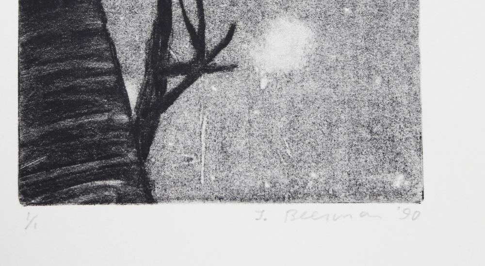 John Beerman | BRANCHES AND SKY (1990) | MutualArt