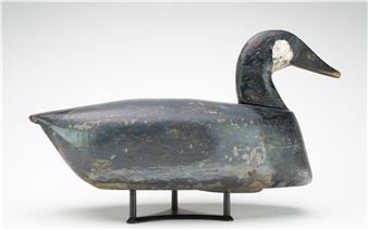 Canada goose - Cecil Stevens