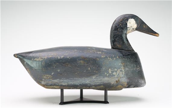 Canada goose - Cecil Stevens