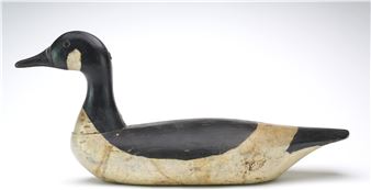 Canada goose - Smith Clinton Verity