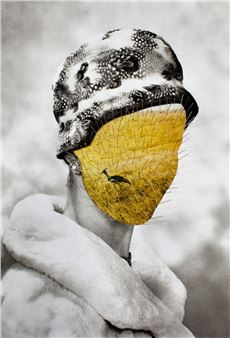 The Brooklyn Museum Presents in the Now: Gender and Nation in Europe, Selections from the Sir Mark Fehrs Haukohl Photography Collection, Brooklyn (Exhibition)