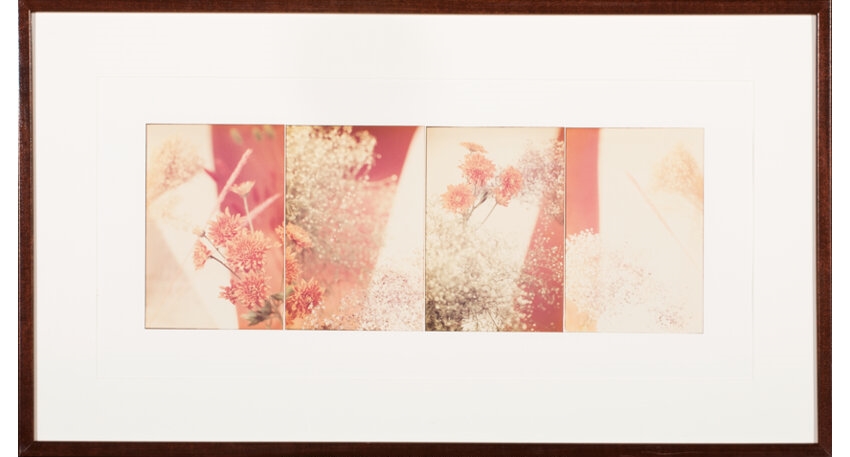 Jan Groover | Untitled (4 works) (1977) | MutualArt