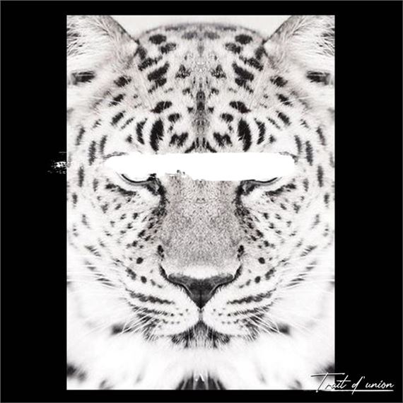 Savage" series by Trait D'Union, 2023