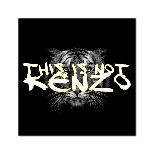 Artwork by Trait D'Union, THIS IS NOT KENZO #1, Made of Print on acrylic