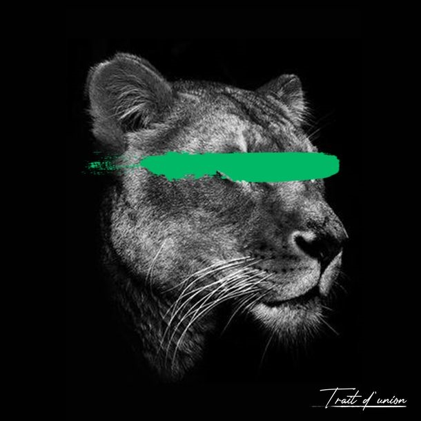 Artwork by Trait D'Union, Savage" series, Made of Plexiglas print on 2mm acrylic