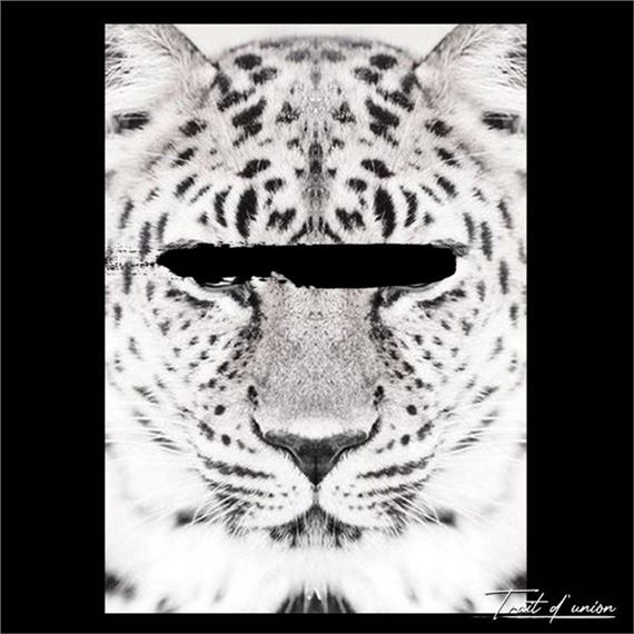 Savage" series by Trait D'Union, 2023