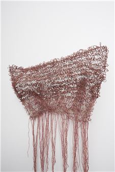 Sacred Willow - Tracey Deep