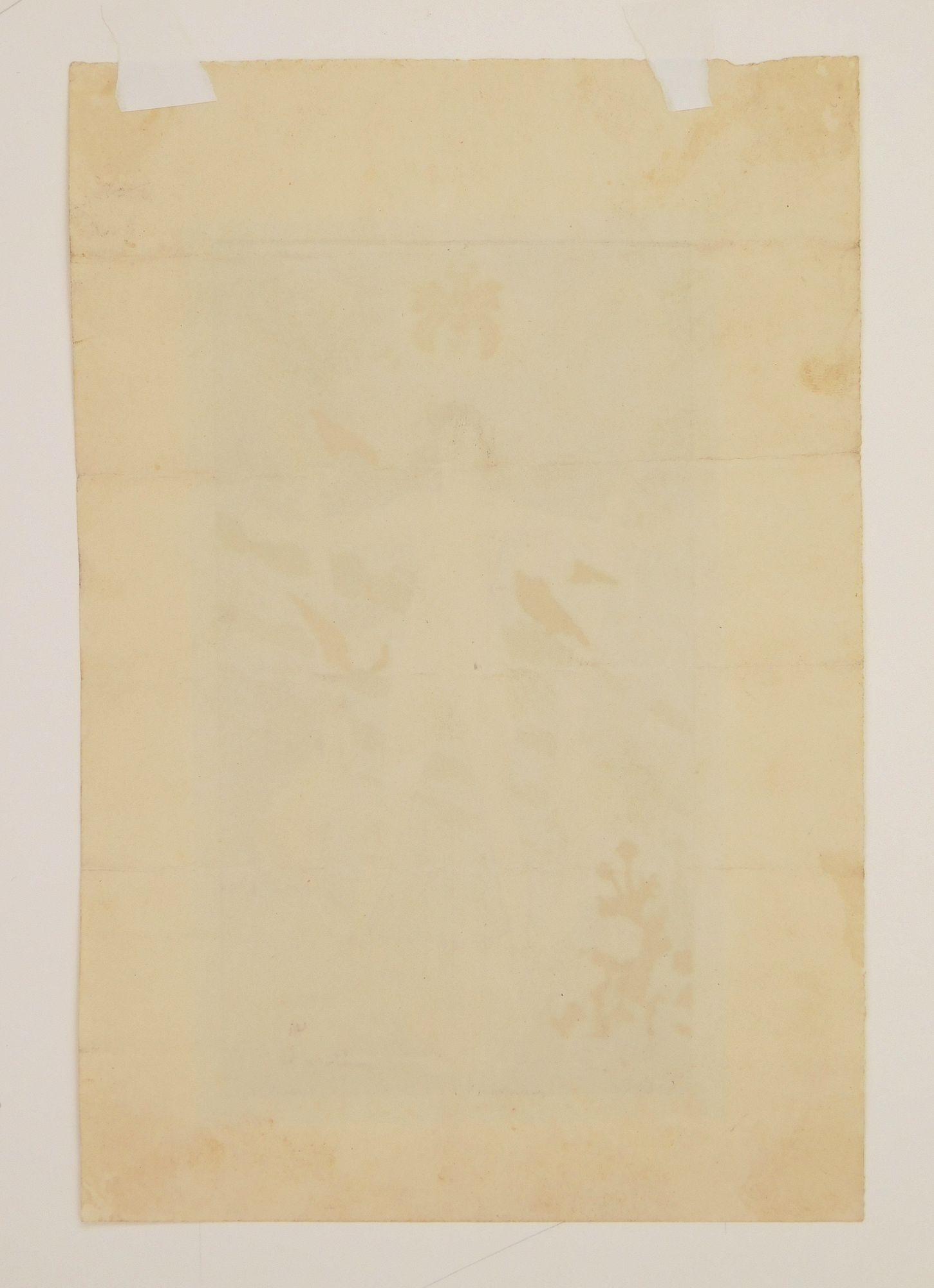 Artwork by Alexandre Graverol, Woman as a Musical Instrument, Made of watercolor on paper