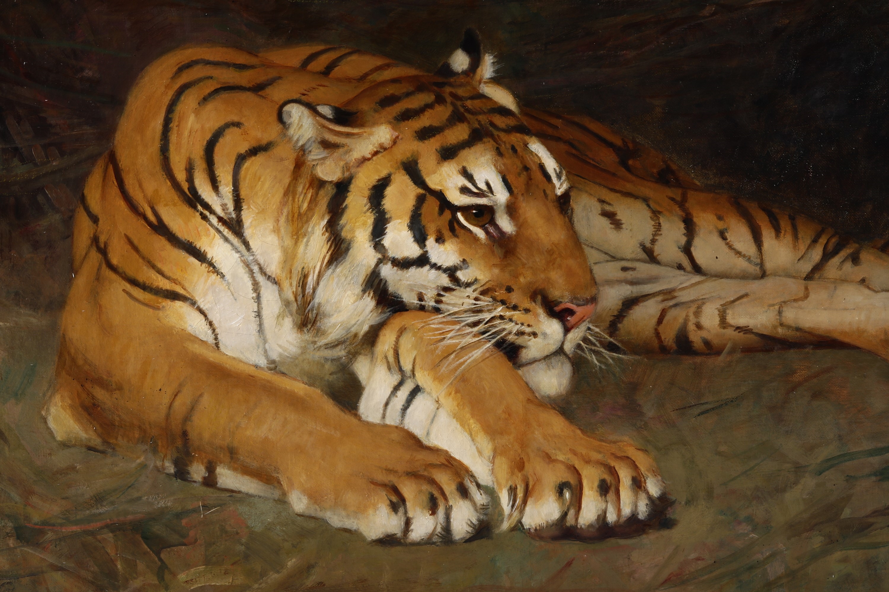 Gustave Surand | Tigre a riposo, 1929 (1929) | MutualArt