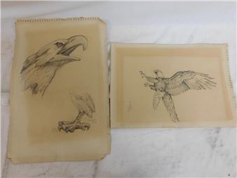 Eagle Drawings - A. Zell