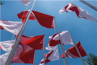 Raul Mourão: Corta Fogo - Galeria Hugo França